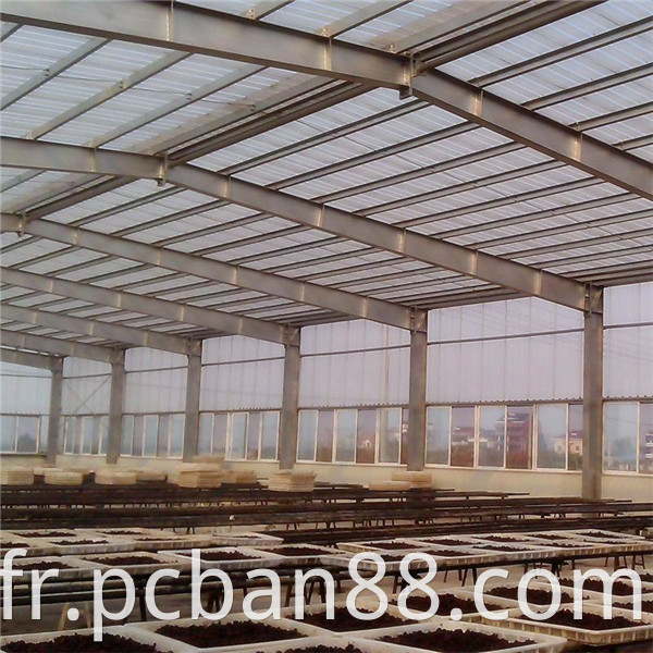 Twin Wall 6mm Polycarbonate Sheet4